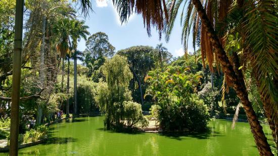 Parque Municipal Américo Renê Gianetti